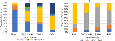 Occurrence of Colibacillosis in Broilers and Its Relationship With Avian Pathogenic Escherichia coli (APEC) Population Structure and Molecular Characteristics